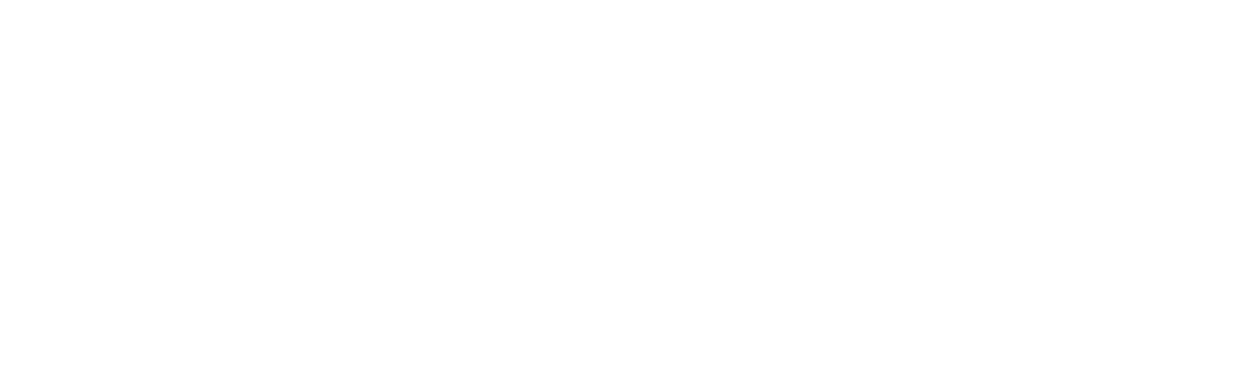 TSN Logo - White